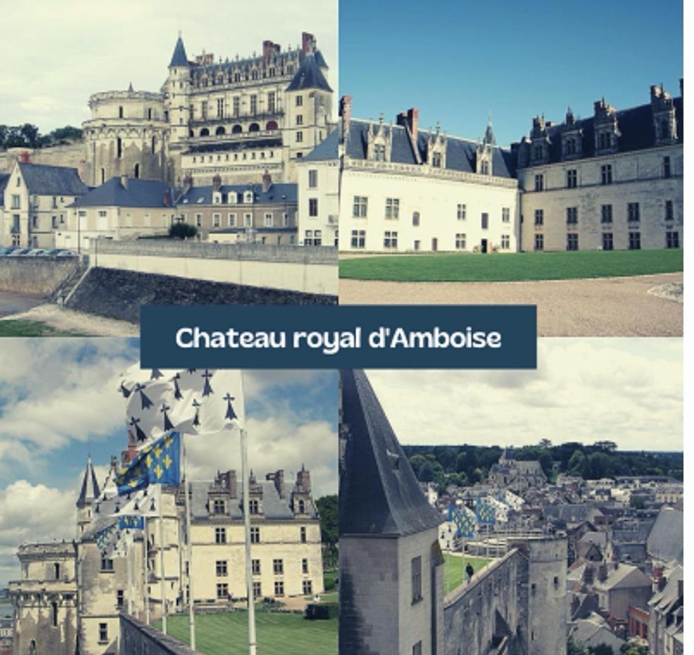 Homestay Fleurs De Lys Proche Zooparc De Beauval Et Des Chateaux De La Loire
